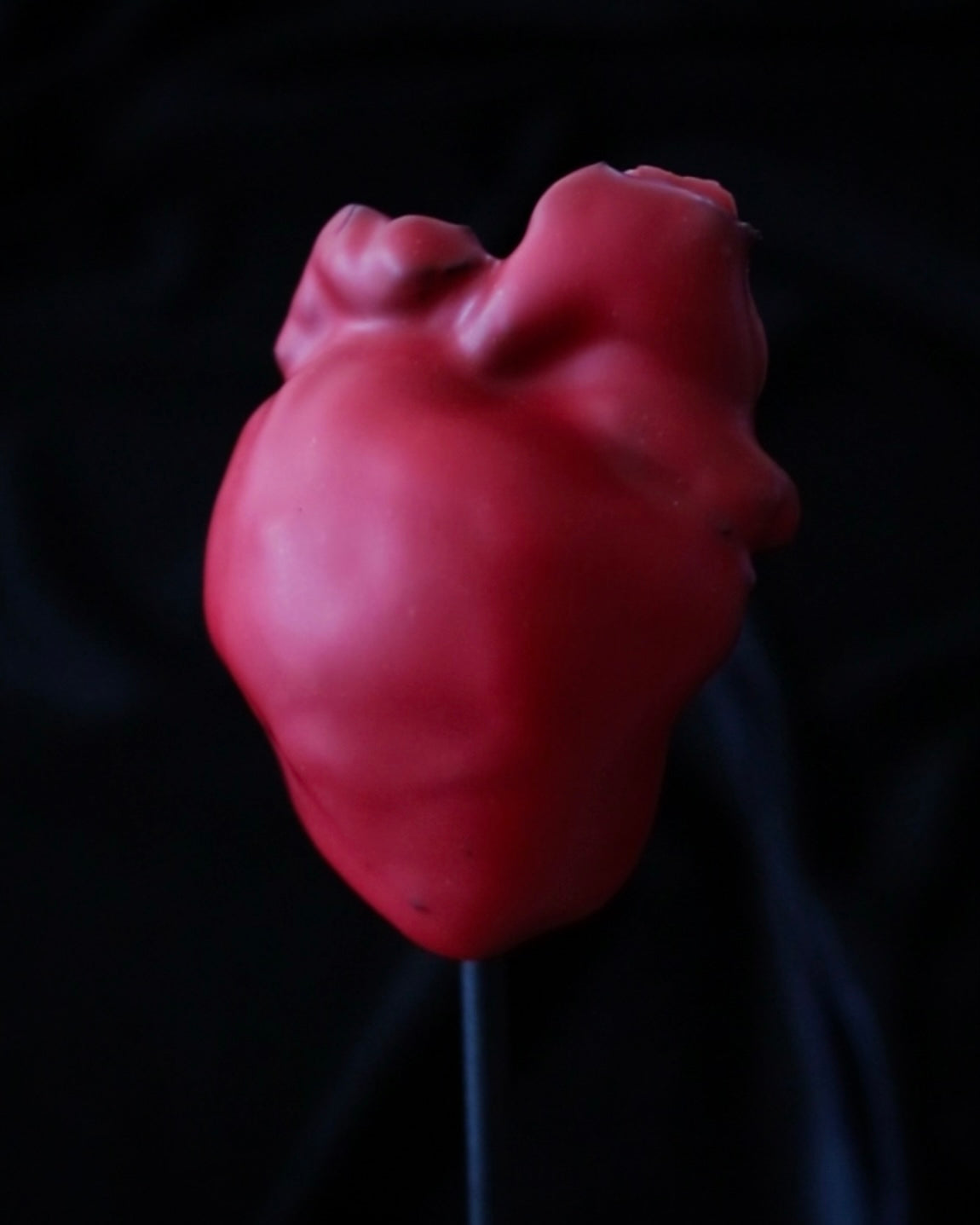 Heart on a Stick