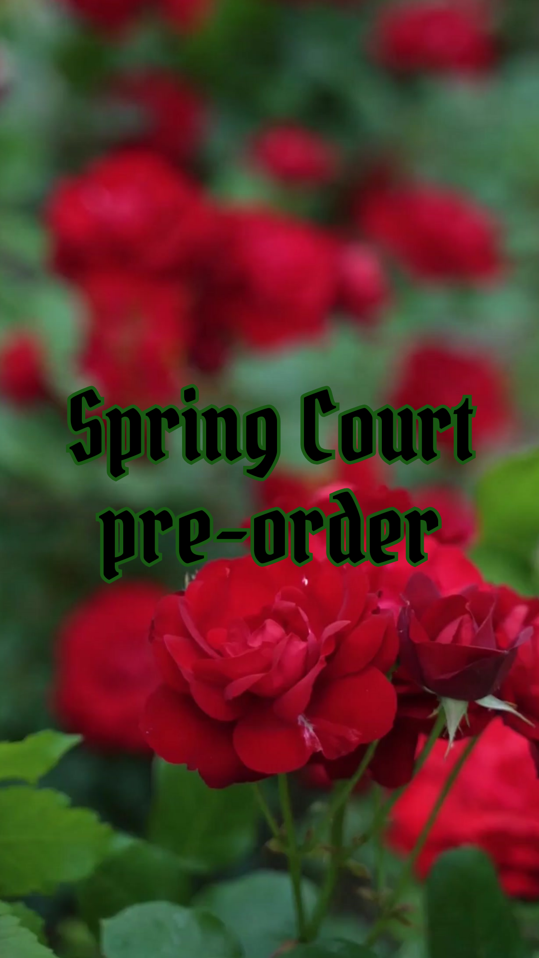 PRE ORDER - Spring Court Cake Tub